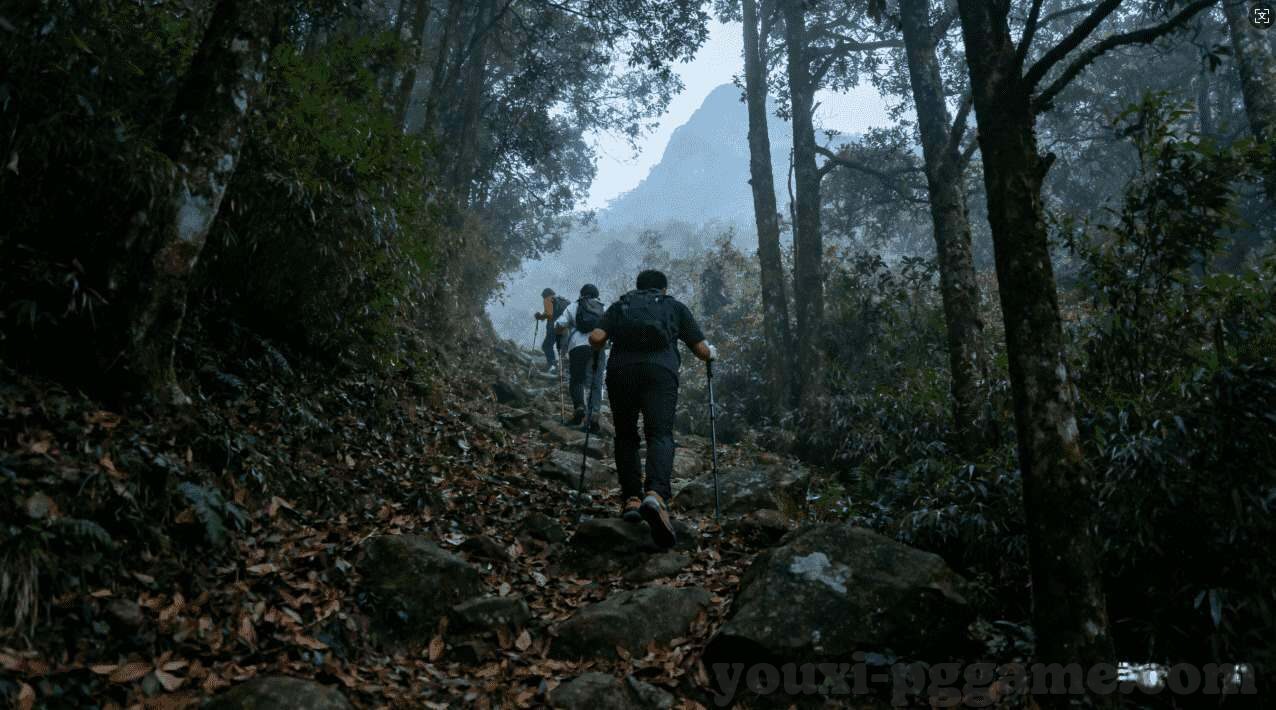 世界杯归化球员盘点-世界杯归化球员盘点，足球全球化下的多元融合